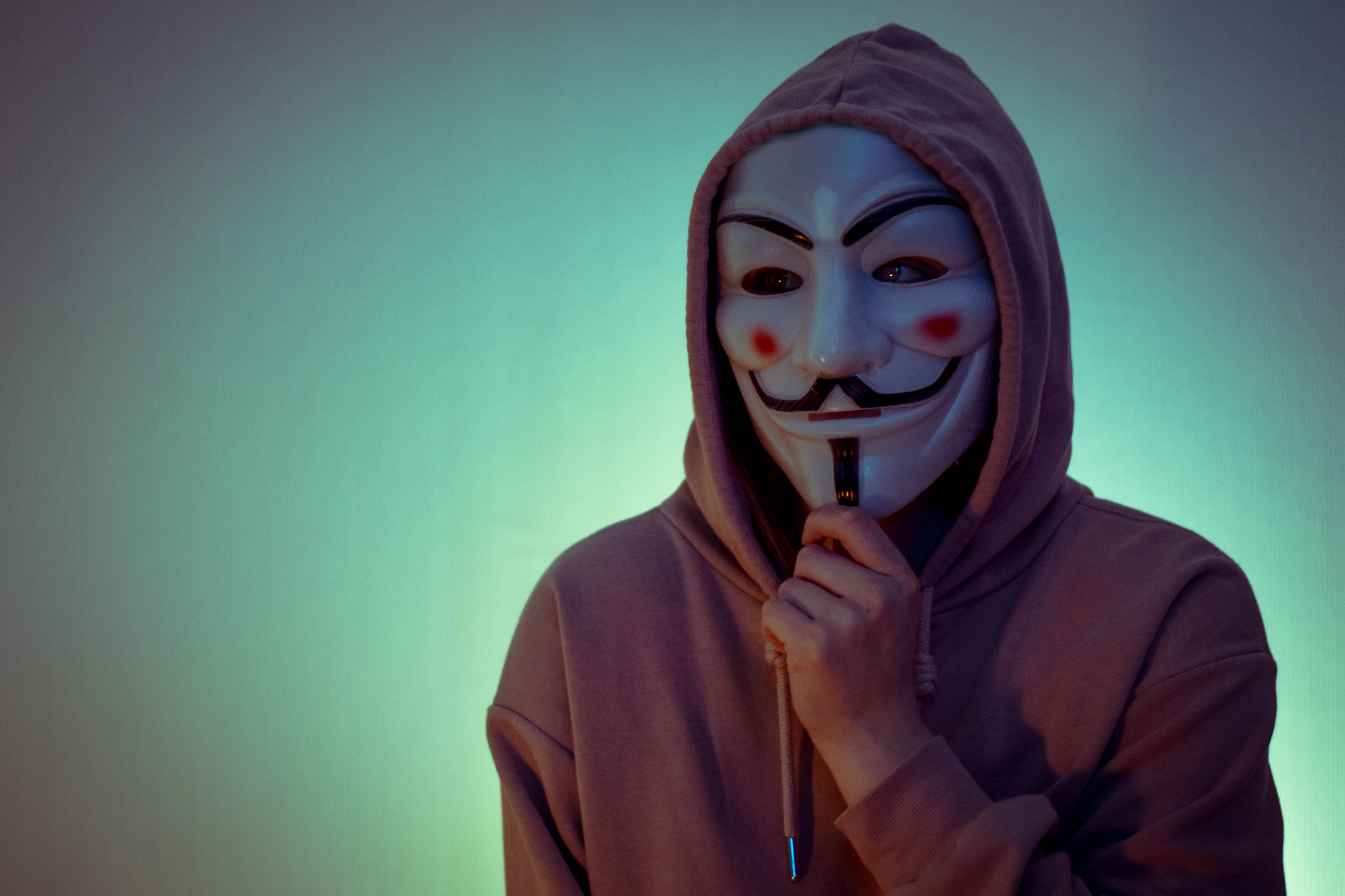 Portrait of a person wearing a hoodie and the Guy Fawkes mask
